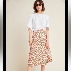 🌹 Anthropologie 46/52 conversations watermelon skirt size 10